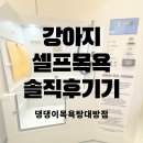 댕댕이샵 | 24시 강아지 목욕샵 댕댕이 목욕탕 대방점 방문 후기
