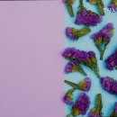 안나노인건강센터 | 부산요양원 안나노인건강센터 따뜻한 돌봄이 가득한