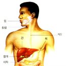 구라산성 이미지