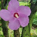 신병교육대 입구 이미지