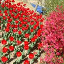 오-월드 이미지