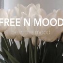 앤무드(N.mood) 이미지