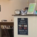 교동13길 10-1, (교현동) | 충주 교현동 퓨전음식 맛집 꼬보