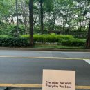 모호커피로스터스 이미지