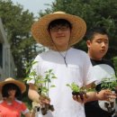 팔렬중학교 이미지