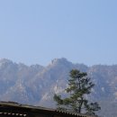 남도1농장 이미지