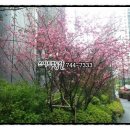 한일오르듀 이미지