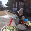 석간수 동굴 이미지