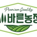 정진 (JUNGJIN) 이미지