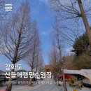 산들애김밥 - 안산시 상록구 석호로 42 | 산들애김밥