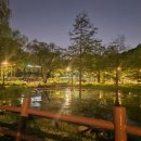 레아약국 이미지