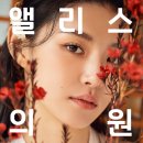 앨리스의원 이미지