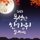 보라모터스 이미지