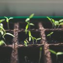 정서농장 이미지