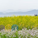 속살 티스토리