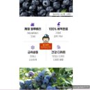 물고기삼촌 | 냉동블루베리 추천｜블루베리효능 제대로 챙기는 아침간편식 물고기삼촌 후기