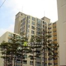 차성남로 이미지