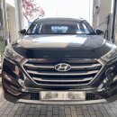 로고스카센타 이미지