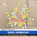 점촌 꽃집 샤론의플라워, 문경 꽃집 꽃바구니 개업선물 이사선물