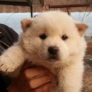 호장농장 이미지