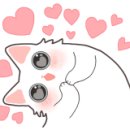 달자네식당 이미지