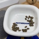 (주)밀레펫 이미지