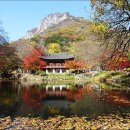 백양사 쌍계루 이미지