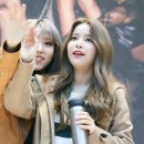 별콩 이미지