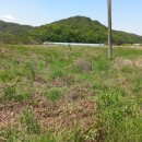 판문동5 이미지