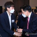 다영황 이미지