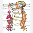 하늘토엠디의원 이미지