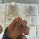 부천-중동-부천-0003 | 로즈몽 귀걸이 a/s 도색 맡겼는데 상품화해서 받은 후기(feat.스톤헨지)