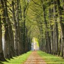 영농조합법인고운 이미지