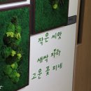 남한강초등학교 병설유치원 이미지