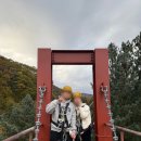 가평 브릿지 짚라인 후기 (주말 가평여행 추천코스)