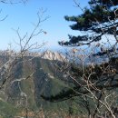 아지랑이 이미지