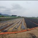 하양공인중개사사무소 이미지