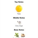 해외 유명 조향사들이 한국에서 영감을 받아 만든 향수들.jpg 이미지