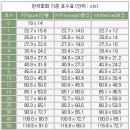 한국 회화 기준 호수표(그림사이즈) 이미지