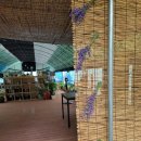 분토농장 이미지