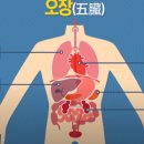 사바아사나