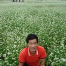 이영식농장 이미지