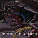 심콩