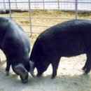 봉영농장 이미지