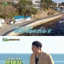 바다의왕자민박 이미지