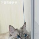 이플동물병원 이미지