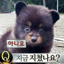 이젠아카데미 uiux웹디자인&amp;프론트엔드B반 3달차 수업후기 &amp; 취업상담(내일배움카드/국비지원/비전공자)