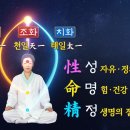 터널게이트(나) 이미지