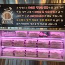 몽찌카츠