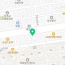 요미독 강아지분양 요미캣 고양이분양 목동점 이미지